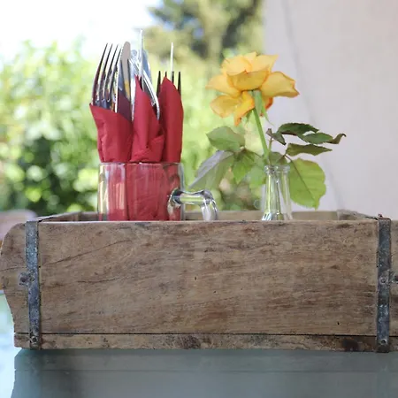 Luxuszelt Zeltplatz Altjessen 57