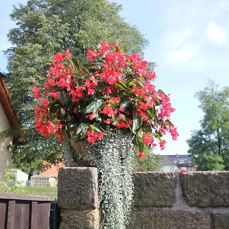 Luxuszelt Zeltplatz Altjessen 57 Pirna